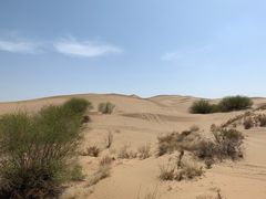 -亿利库布其七星湖沙漠生态旅游区