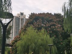 -苏州河梦清园环保主题公园