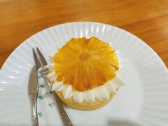 -猫里有甜
