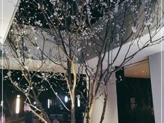 -铜锣湾·有麝自然香(渝北财富中心店)