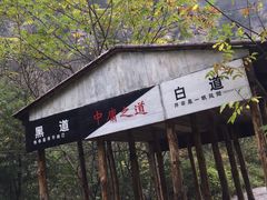 -青峰峡国家森林公园