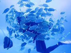 -左海海底世界