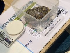-雨林宠物医院 非犬猫异宠专科