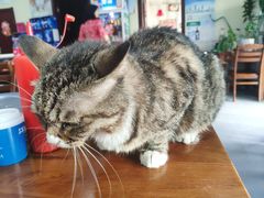 -延成苑韩式烤肉店(长春道店)