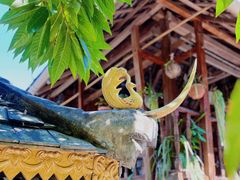 -西双版纳傣族园