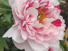 -玄武湖景区-情侣园游乐场