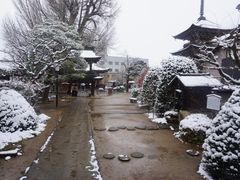 -医王山·飞騨国分寺