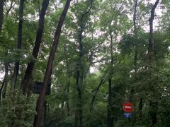 -杭州植物园