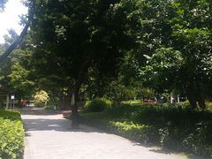 -兆祥公园