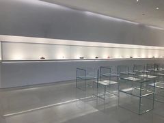 -BLACKSWAN黑天鹅(环球店)