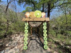 -大岭沟猕猴桃谷风景区
