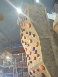 -卡通尼·Safari非洲探索乐园·生日会(金桥国际商业广场店)