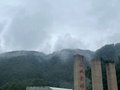 -铁山坪森林公园