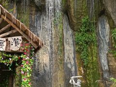 -西双版纳原始森林公园