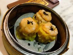 -糖朝(尖沙咀店)