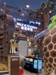 -卡通尼·Safari非洲探索乐园·生日会(金桥国际商业广场店)