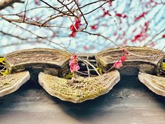 -慧因高丽寺
