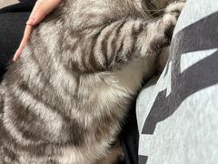 -平行世界·猫咖(首经贸店)