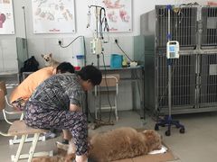 -畜牧兽医站(共江路店)