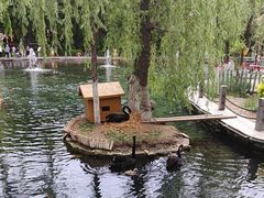 -水磨沟公园