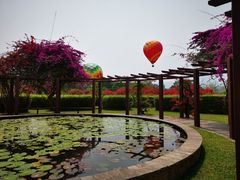 -中国科学院西双版纳热带植物园
