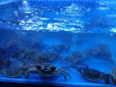-去吃龙虾|鲜活小海鲜·鲜货烧烤(红林世界城店)