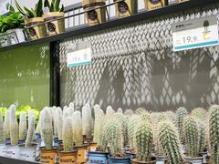 -鹿岛会员店 (龙湖三千集天街店)