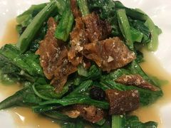 油麦菜-粤麓轩餐厅(中信泰富广场店)