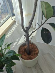-HEYAN荷妍专业脱毛连锁机构