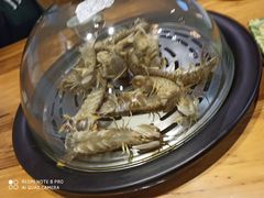 -黄寺蒸汽海鲜(黄寺大街店)