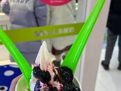 -Salud撒露欧洲冻酸奶(蓝色港湾店)