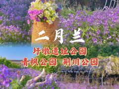 -红梅公园