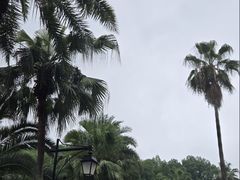 -圣爵菲斯大酒店(长沙世界之窗店)