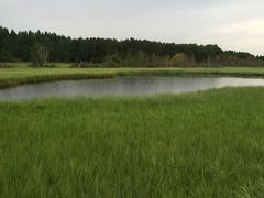 -塞罕坝国家级自然保护区