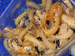 -高佳庄·海鲜酒楼(定海店)