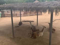 -西安秦岭野生动物园