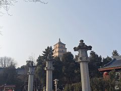 -大雁塔北广场音乐喷泉