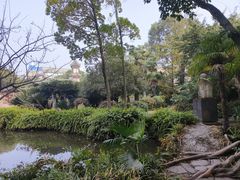 -房湖公园
