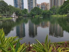 -晓港公园
