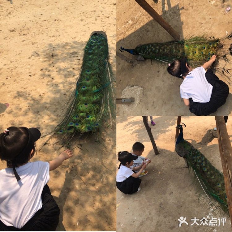 乐ZOO亲子游必去，北京周末娃放电好去处！