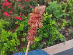 -谷丽麦馕新疆菜·清真(步步高梅溪新天地店)