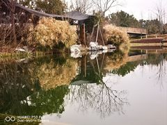 -上海植物园-4号门售票处