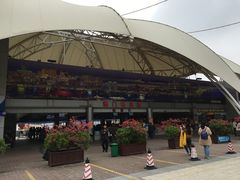 -澳门环岛游湾仔码头