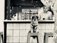 景观位-Apollo·西班牙小酒馆(安福路店)