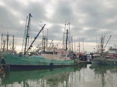 -Steveston Pizza Company (Richmond)