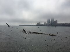 iphone_upload_pic-栈桥景区