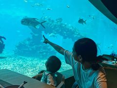 -海棠湾洲际-涛·海底餐厅·美人鱼·自助餐·海底隧道