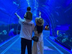 -成都浩海立方海洋公园
