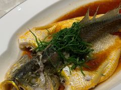 -明湖楼·经典鲁菜山东海鲜(大明湖店)