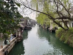 -乌镇东栅景区